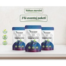 Freezeva 3'lü Paket Dondurularak Kurutulmuş Yaban Mersini Freeze Dried Yaban Mersini 3X20 gr