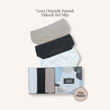 Cielo Venti Must Have | 3'lü Organik Pamuk Yüksek Bel Slip Külot