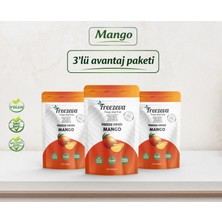 Freezeva 3'lü Paket Dondurularak Kurutulmuş Mango (Freeze Dried Mango) Freeze Dry Mango Kurusu 3X20 gr