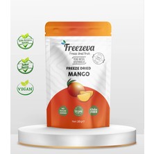 Freezeva Dondurularak Kurutulmuş Mango 20 gr – Freeze Dried Mango- Mango Kuru Meyve Cipsi