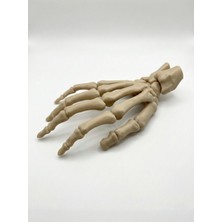 El & Bilek Kemikleri Anatomi Modeli 1:1 – 3D Pla Baskı – (Distal Radius/ulna Dahil, Karpal/metakarpal/falanks)