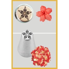 Feyza Design Paslanmaz Çelik Krema Sıkma Ucu ve Şanti Torbası Seti, 5 Parça