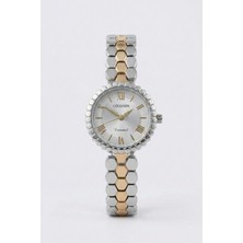 inStyle Gold Detaylı Gümüş Kadın Kol Saati