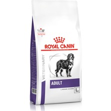 Royal Canin Adult Large Dog 13 kg - Büyük Irk Köpek Eklem, Tüy ve Sindirim Maması