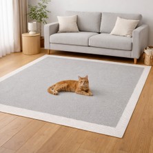 Ultra Halı Riga Serisi Kolay Temizlenebilir Leke Tutmayan Toz Yapmayan Pati Dostu Özel Ölçüye Uygun Sisal Halı