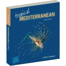 Tropical Mediterranean