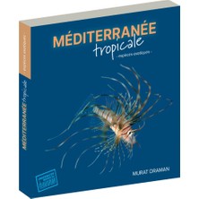 Mediterranee Tropicale