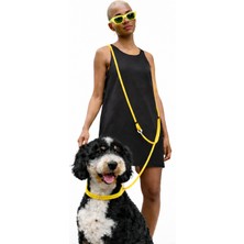 8 mm Paracord Hands Free Köpek Tasması / 1100 kg Dayanıklı Eller Serbest Gezdirme