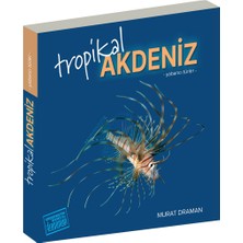 Tropikal Akdeniz