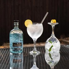 Skygo 6'lı Büyük Şarap Kadehi, 645 cc