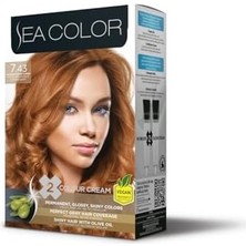 Skygo Sea Color Set Boya 7.43 Yoğun Parlak Bakır