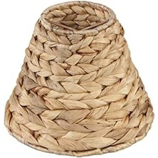 Skygo Aspen 51004-2, Empire Klipsli Avize, Su Sümbülü, 7,62 cm Üst x 15,24 cm Alt x 4 3/4 Inç Eğimli Yükseklik, 2'li Set