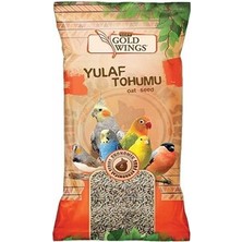 Gold Wings Premium Yulaf Tohumu 300 Gr