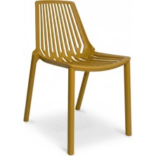 Mandella Jüpiter Sandalye Sarı