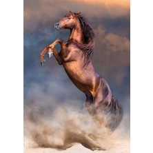 Skygo 500 El. Hq Red Stallion