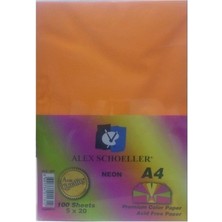 Skygo Schoeller A.FTK.KGT.450.07 Fotokopi Kağıdı - Karışık Renkli