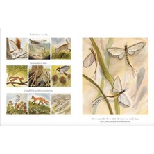 Skygo Time Runs Like A River