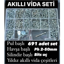 Acar Civata 691 Adet Akıllı Matkap Uçlu Vida Seti