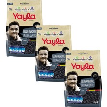 Yayla Gurme Beluga Mercimek 500 gr X3