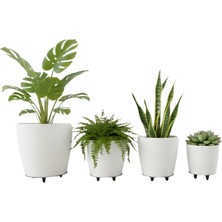 Aesco 4’lü 3D Beyaz Dekoratif Vazo Seti Modern Ayaklı Şık Saksı Takımı - Lisinya