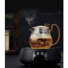 Feyza Design Borosilikat Cam Bitki Çayı Demliği, Gold Saplı, 550 Ml, Şık ve Dayanıklı