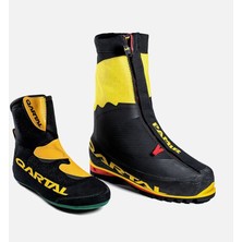 Qartal Pamir Yüksek Irtifa Botu