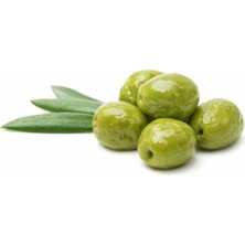 Farmtokid Şarköy Yeşil Sele Zeytin 500 gr