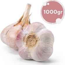 Bitki Baharat Dünyası Taşköprü Sarımsağı 1 kg