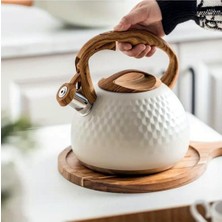 Feyza Design Şık ve Modern 3l Paslanmaz Çelik Düdüklü Kettle, Ergonomik Tasarım