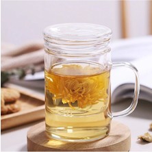 Feyza Design Cam Demleme Kupa 350 Ml, Kapaklı ve Süzgeçli, Şık ve Kullanışlı Tasarım