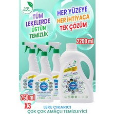 Rindamor  %100 Doğal Bitkisel Çok Çok Amaçlı Konsantre Temizleyici ve Leke Çıkarıcı Seti