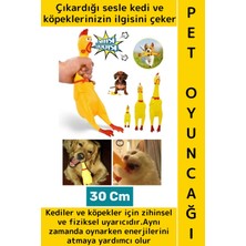 Wintoup Evcil Hayvan Ilgi Çekici Enerji Atma Fiziksel Aktivite Ses Çıkaran Tavuk Kedi Köpek Oyuncağı 30 cm