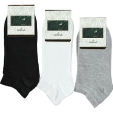 Çega Socks Çega Dikişsiz Parfümlü Bambu Kadın Konfor Çorap 3'lü Patik Çorap
