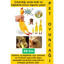 Wintoup Evcil Hayvan Ilgi Çekici Enerji Atma Fiziksel Aktivite Ses Çıkaran Tavuk Kedi Köpek Oyuncağı 38 cm