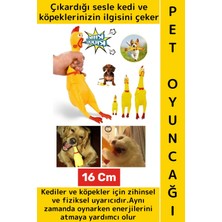 Wintoup Evcil Hayvan Ilgi Çekici Enerji Atma Fiziksel Aktivite Ses Çıkaran Tavuk Kedi Köpek Oyuncağı 16 cm