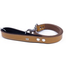  Doggie Konfor Klasik Deri Köpek Gezdirme Tasması Camel 3X100 cm