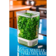 Creatividad Solutions Yeşillik Saklama Kabı - Taze Yeşillik Için - Soğan Maydanoz Vb Yeşillik Saklama  721958