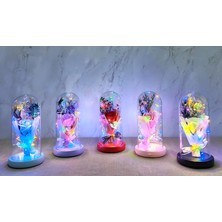 Hayat Store Işıklı Müzikli Cam Fanus Içinde Lavantalı Romantik Gül  ALK5001