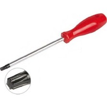 Hayat Store Torx Tornavida T10 Kaliteli (Lisinya)