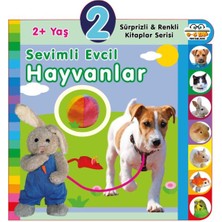 Hayat Store Yaş Sevimli Evcil Hayvanlar (2+Yaş)