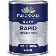Pamukkale 1402 Rapid Hızlı Kuruyan Metal Boyası Parlak 0.75 kg Gri Ral 7040