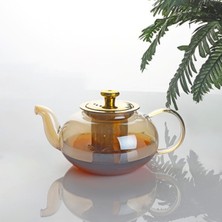 Feyza Design Şık 600 ml Cam Demlik, Kendinden Süzgeçli, Zarif ve Kullanışlı Tasarım