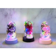 Hayat Store Işıklı Müzikli Romantik Fanus Tekli Gül ALK5007