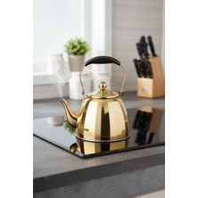 Feyza Design Paslanmaz Çelik Gold Çaydanlık Demlik, Ergonomik Kulplu, 2 L
