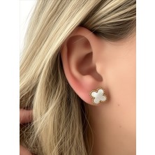 QA Quella Accessories Çelik Sedef Yonca   14K Altın Kaplama Gold Küpe