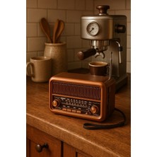 Feyza Design Mini Taşınabilir Nostaljik Radyo ve Bluetooth Hoparlör, USB ve Sd Kart Desteği
