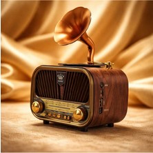 Feyza Design Bluetooth’lu Gramofon Tasarımlı 3 Bant Radyo ve Usb/tf Müzik Çalar, Uzun Pil Ömrü
