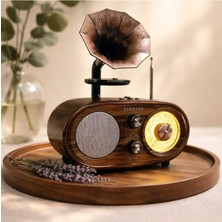 Feyza Design Retro Bluetooth Gramofonlu Müzik Çalar, Usb, Fm, Ampli ve Sw Özellikli