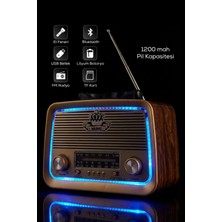 Feyza Design Taşınabilir Bluetooth Radyo, USB ve Tf Kart Destekli, El Fenerli, Nostaljik Tasarım