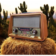 Feyza Design RT-680 Büyük Boy Bluetooth USB Radyo Nostaljik Çalar